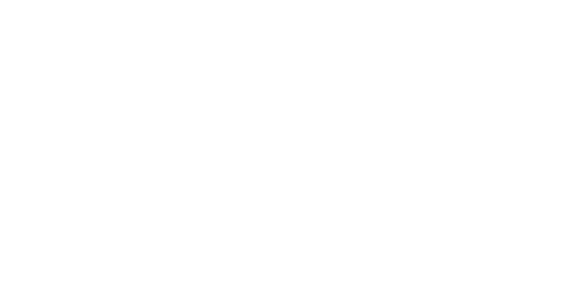 ДІМ ДРУГЕТІВ